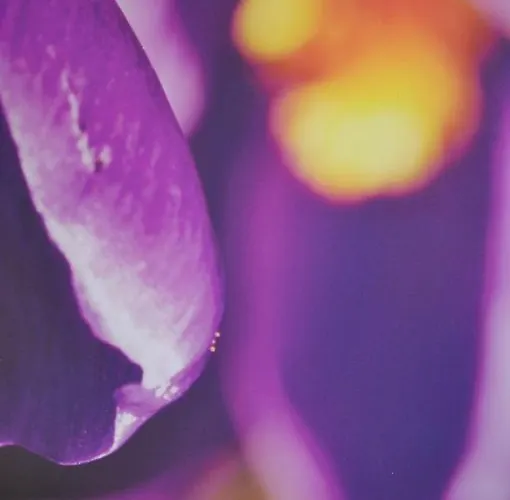 City Hostel Bergen Hostal *